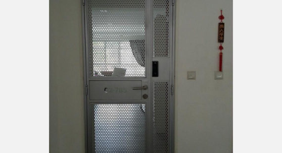 Pet-Friendly-Mesh-HDB-Gate-Design-2