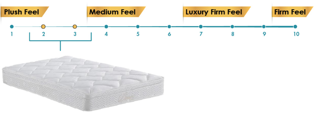mattress to my door review