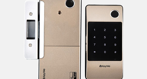 Keywe-Damian-Gold-Dual-Fingerprint-Gate-Lock-(Keypad)