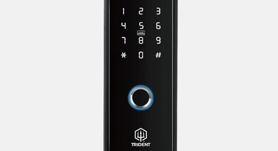 Trident Dual Fingerprint Gate lock