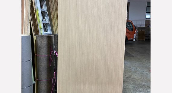 Melamine Door