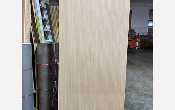 Melamine Door