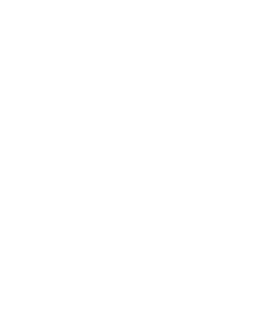 Mydigitalock - Swarovski-Logo Mydigitalock - Swarovski-Logo
